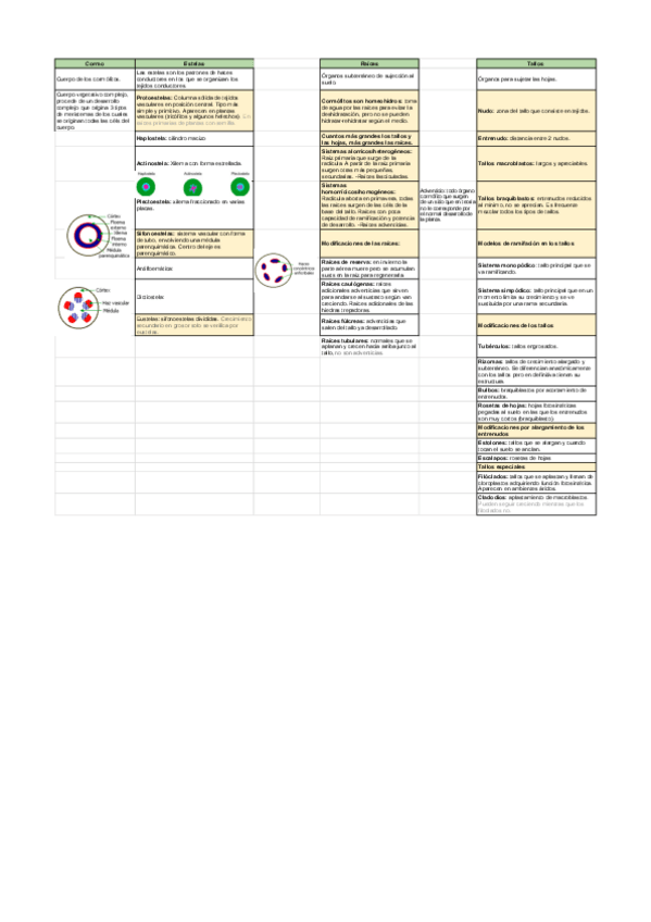 Miniatura del documento CORMO-CARACTERISTICAS-Y-MODIFICACIONES.pdf