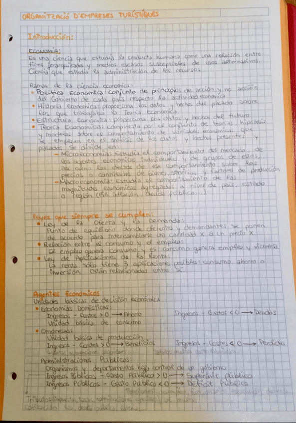 Miniatura del documento IMG_0971.JPG