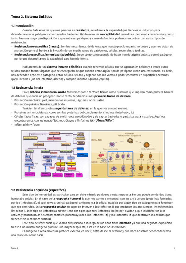 Miniatura del documento Tema-2-Sistema-linfatico.pdf
