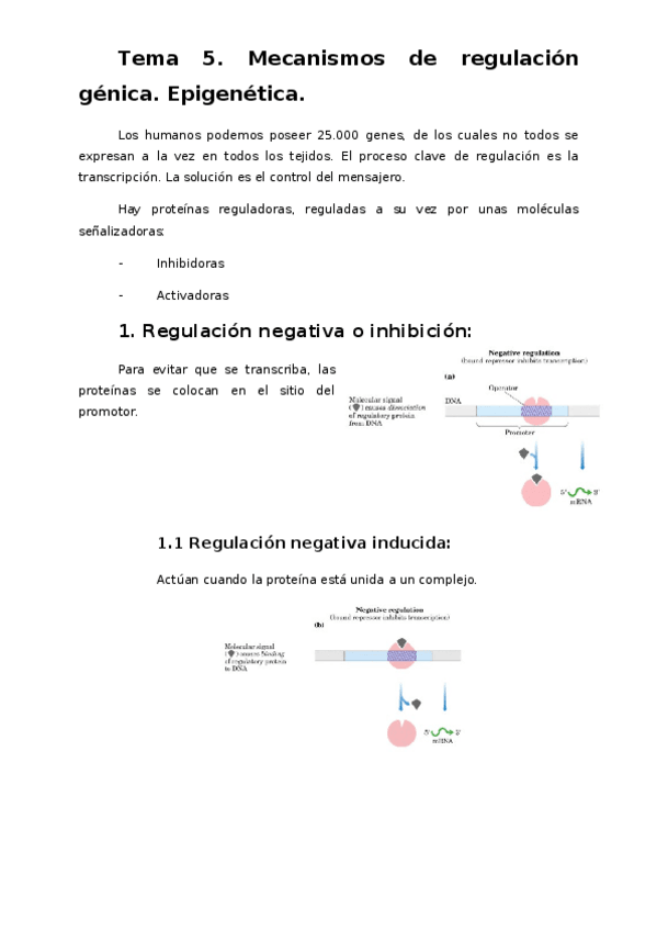 Miniatura del documento Tema-5.docx