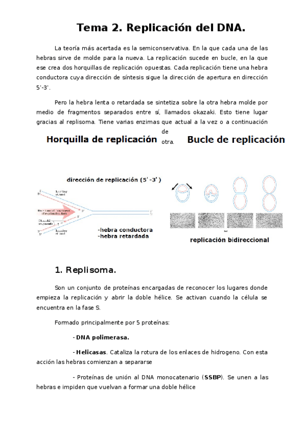 Miniatura del documento TEMA-2.docx