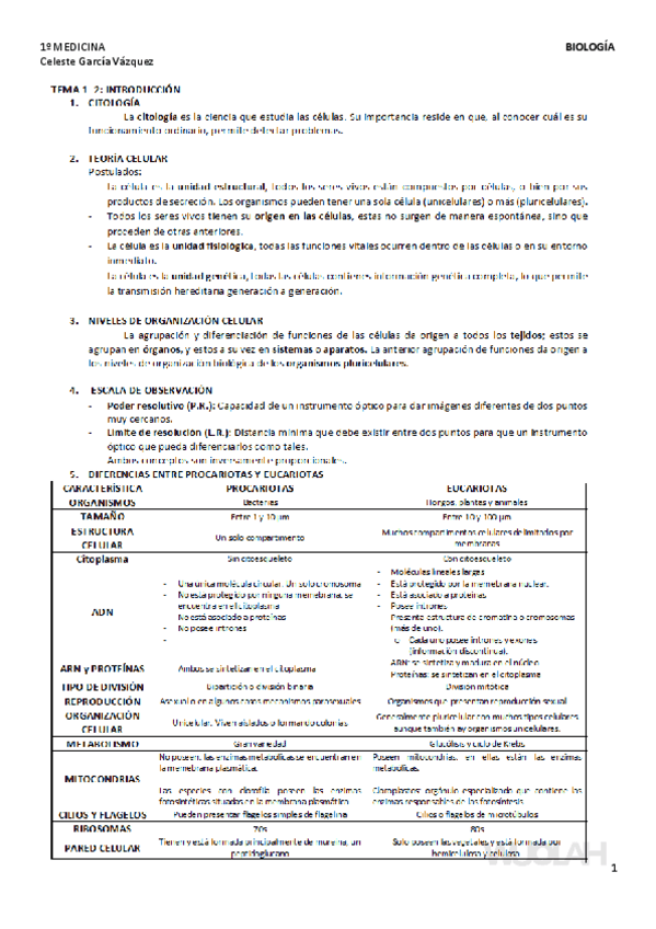 Miniatura del documento TEMAS-1-3.pdf
