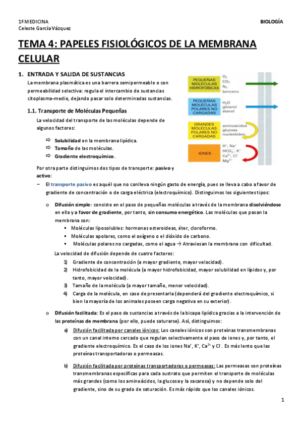 Miniatura del documento TEMA-4-1.pdf