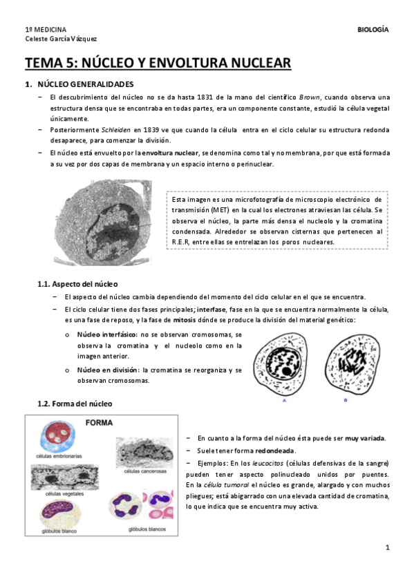 Miniatura del documento TEMA-5-1.pdf