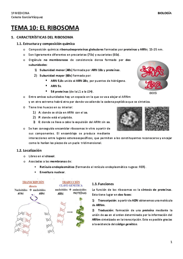 Miniatura del documento TEMA-10-1.pdf