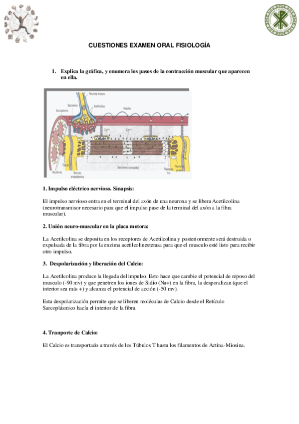 Miniatura del documento EXAMEN-ORAL-FISIOLOGIA-.pdf