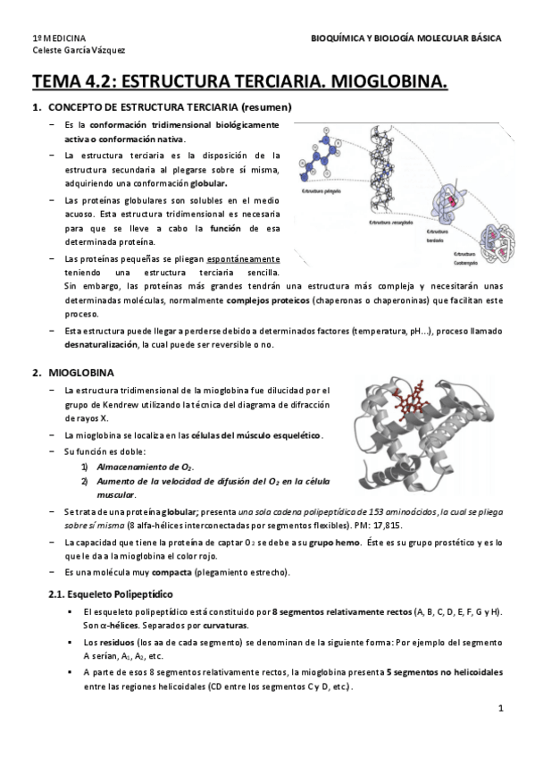 Miniatura del documento TEMA-4.pdf