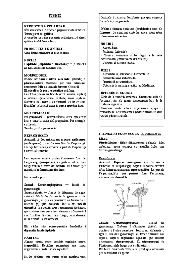 Miniatura del documento BOTANICA-Fongs.pdf