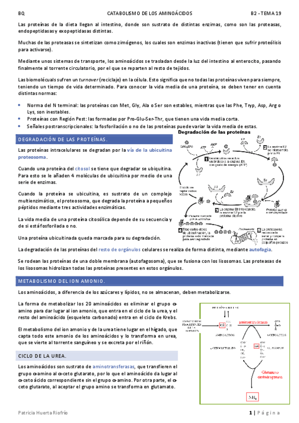 Miniatura del documento T19.pdf
