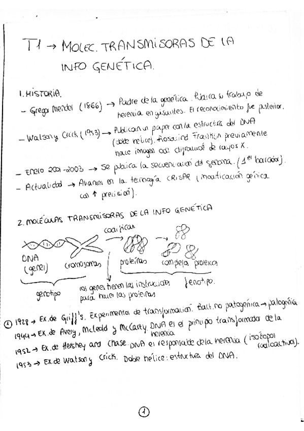 Miniatura del documento T1.pdf