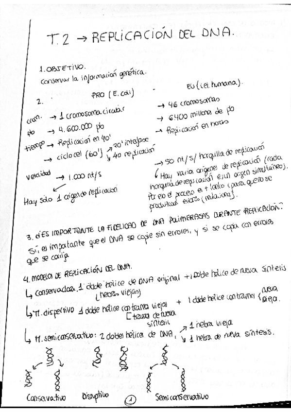 Miniatura del documento T2.pdf