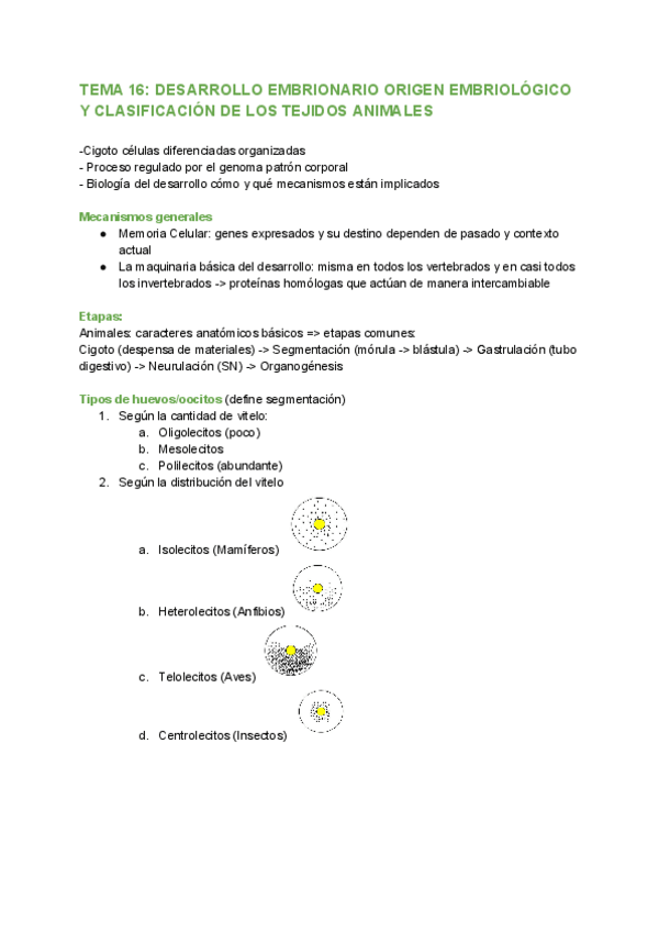 Miniatura del documento Todo-histologia.pdf