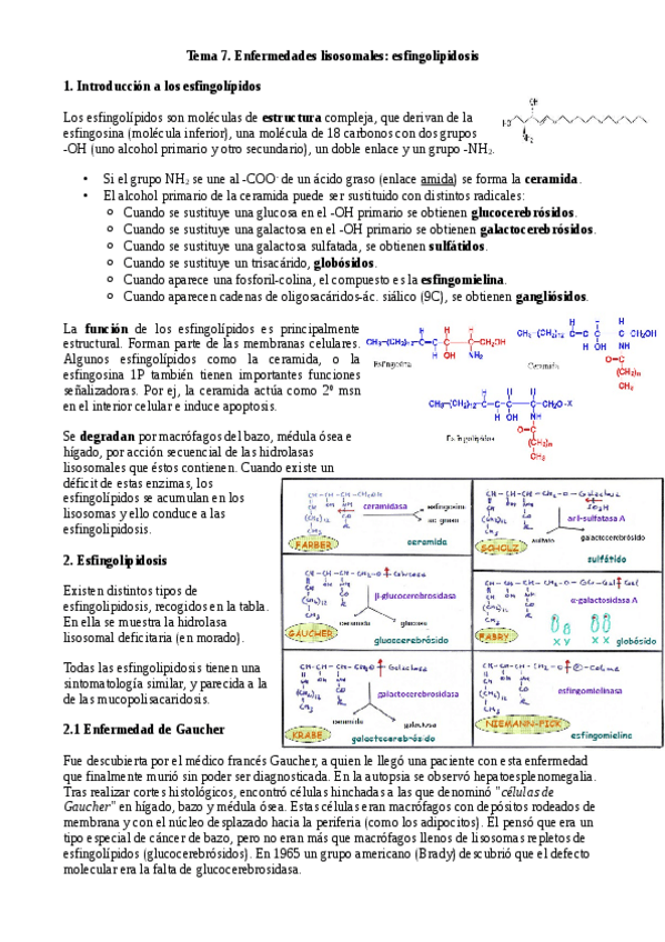 Miniatura del documento Tema 7. Esfingolipidosis.pdf