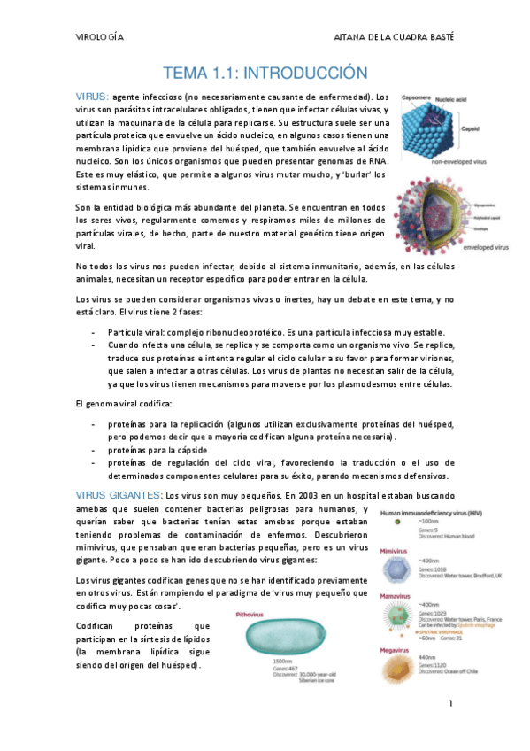 Miniatura del documento VIROLGIA-PRIMER-PARCIAL.pdf