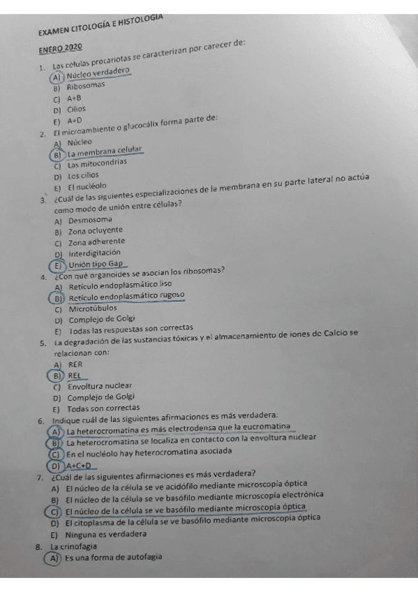 Miniatura del documento Nuevo-documento11.pdf