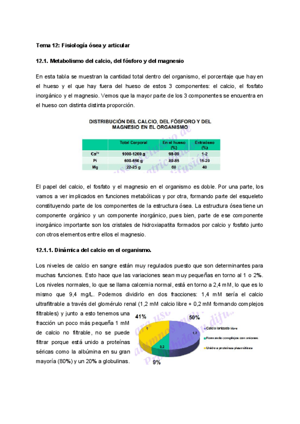 Miniatura del documento Tema-12-Fisiologia-osea-y-articular-2.pdf