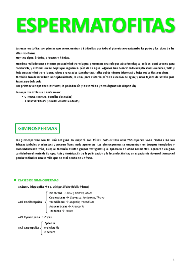 Miniatura del documento 5. ESPERMATOFITAS.pdf