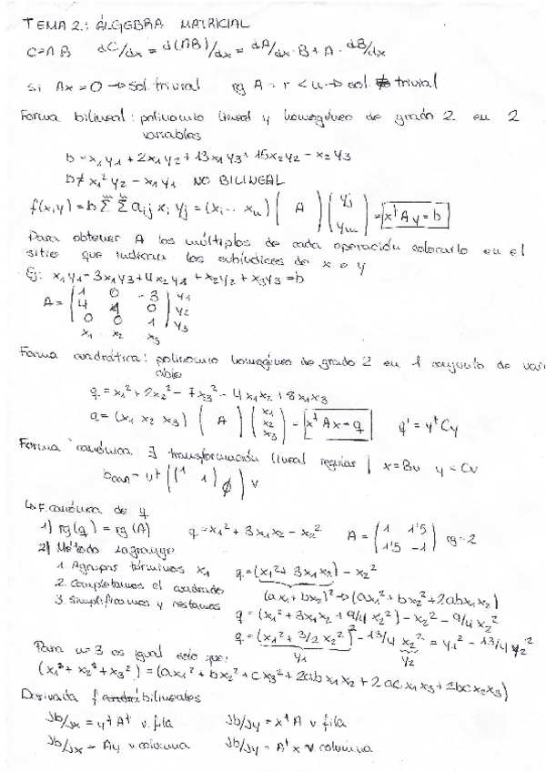 Miniatura del documento Resumen-tema-2-algebra-matricial.pdf