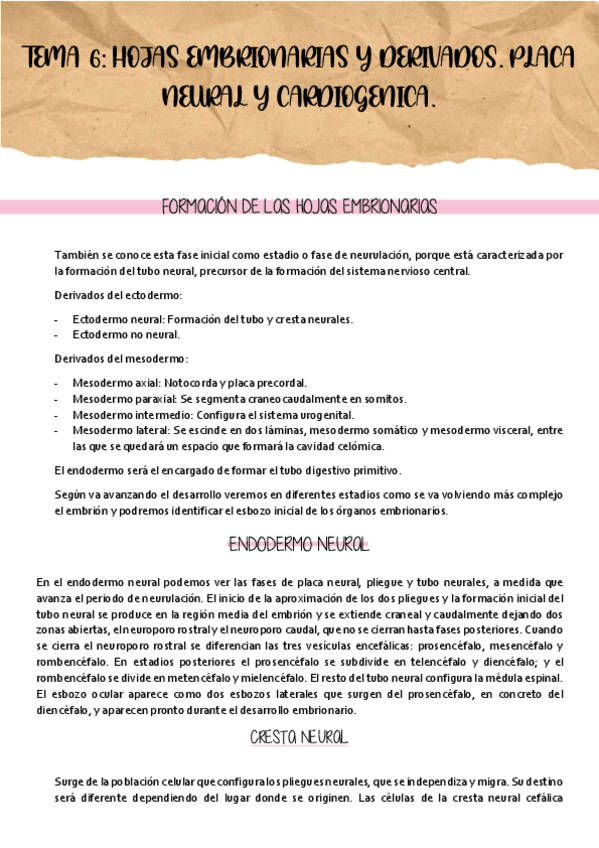 Miniatura del documento TEMA-6-HOJAS-EMBRIONARIAS.pdf
