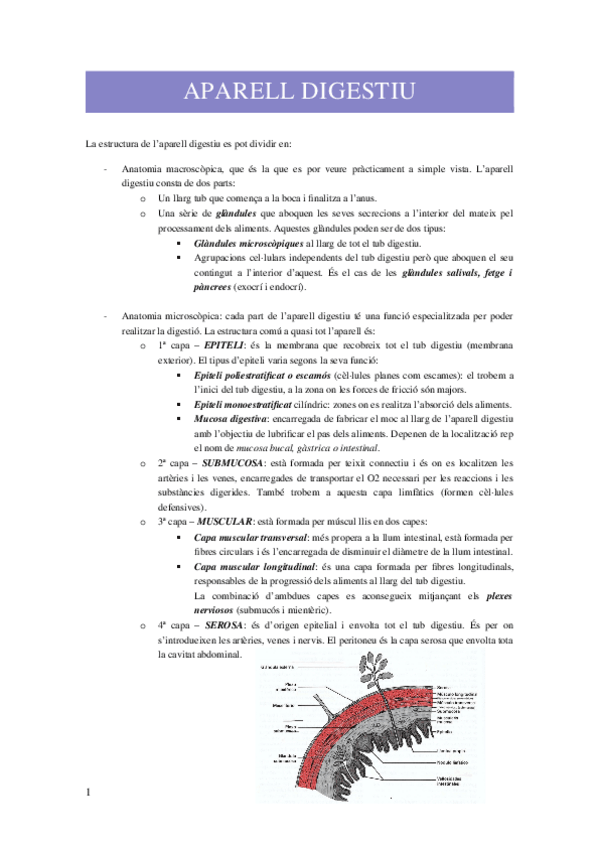 Miniatura del documento APARELL-DIGESTIU.docx