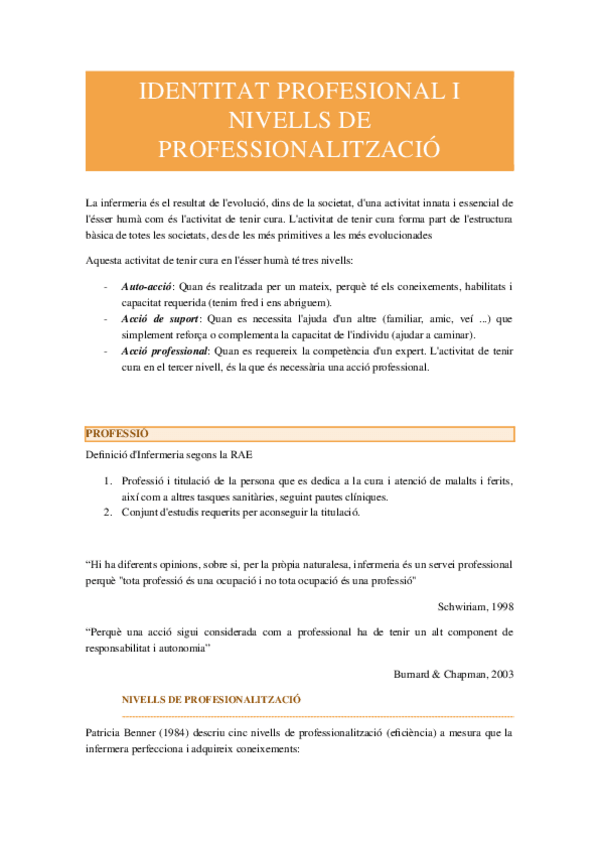 Miniatura del documento IDENTITAT-PROFESIONAL-I-NIVELLS-DE-PROFESSIONALITZACIO.docx