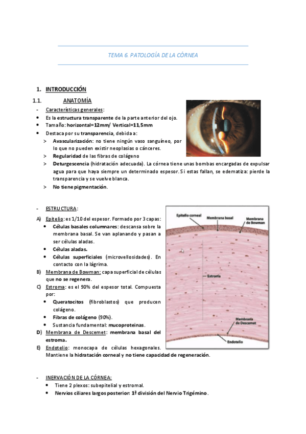 Miniatura del documento TEMA-6-PATOLOGIA-DE-LA-CORNEA.pdf