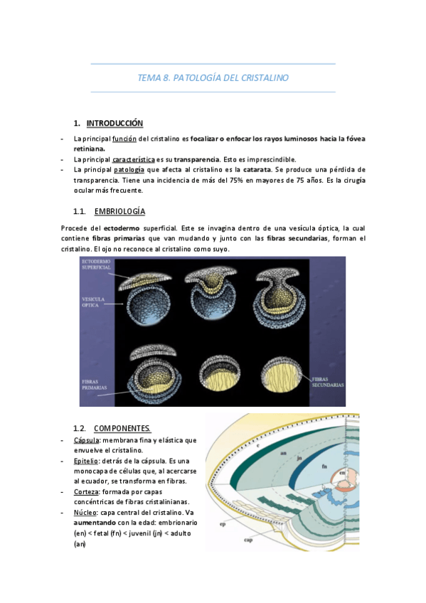 Miniatura del documento TEMA-8-PATOLOGIA-DEL-CRISTALINO.pdf