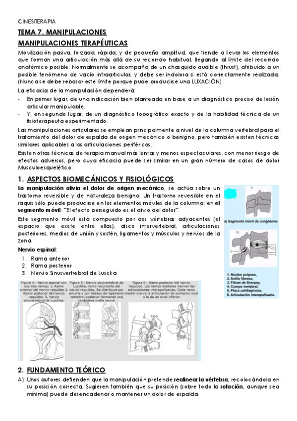 Miniatura del documento TEMA-7-cinesiterapia.pdf