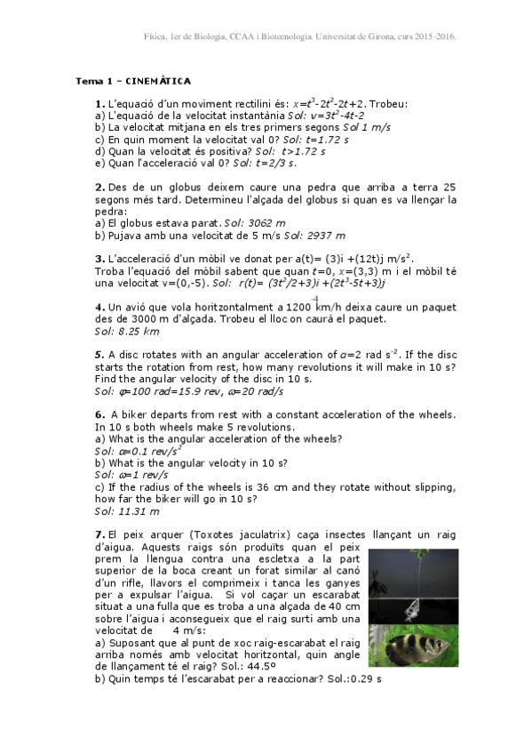 Miniatura del documento ProblemescinematicaFisica.pdf