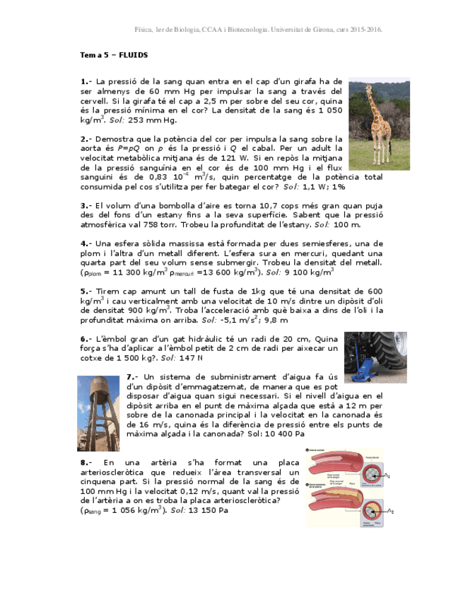 Miniatura del documento Problemesfluidsfisica.pdf