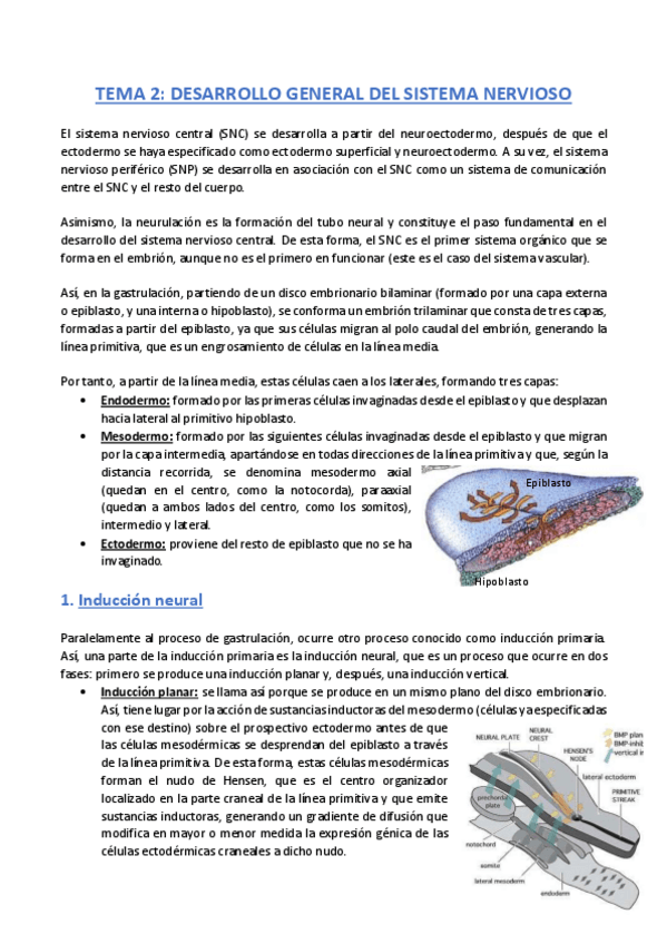 Miniatura del documento TEMA-2-Anatomia.pdf