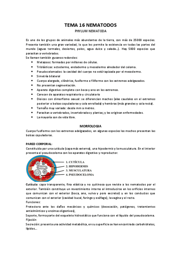 Miniatura del documento TEMA-16-NEMATODOS.pdf