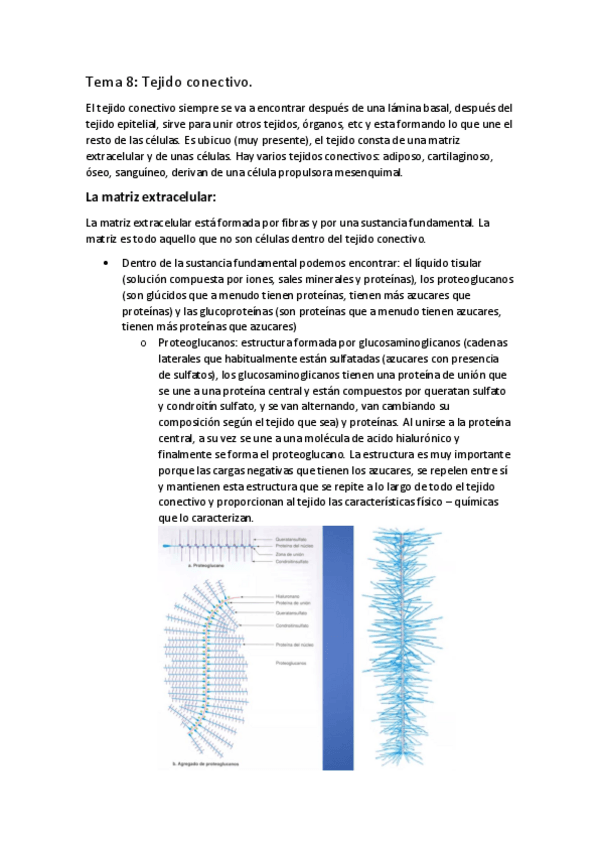 Miniatura del documento APUNTES-BIOLOGIA-T.pdf