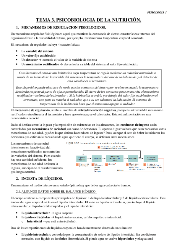 Miniatura del documento TEMA-3.pdf
