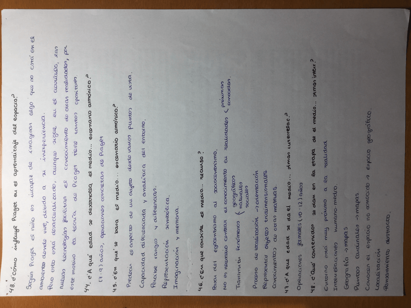 Miniatura del documento IMG0196.jpg