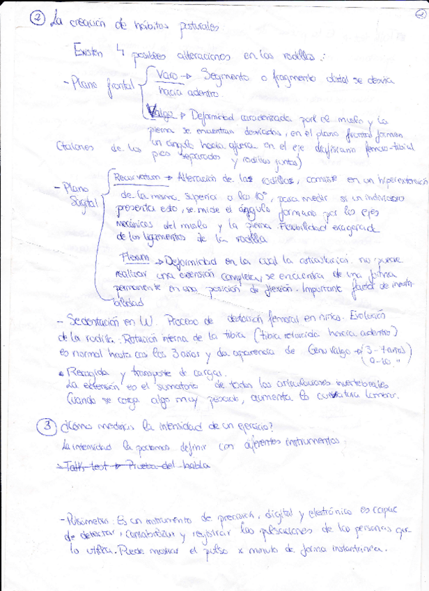 Miniatura del documento APUNTES-DE-OTRO-ANO-4.pdf