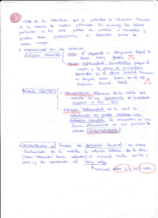 Miniatura del documento APUNTES-DE-OTRO-ANO-2.pdf