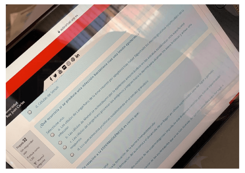 Miniatura del documento EXAMEN-ORGANOGRAFIA.pdf