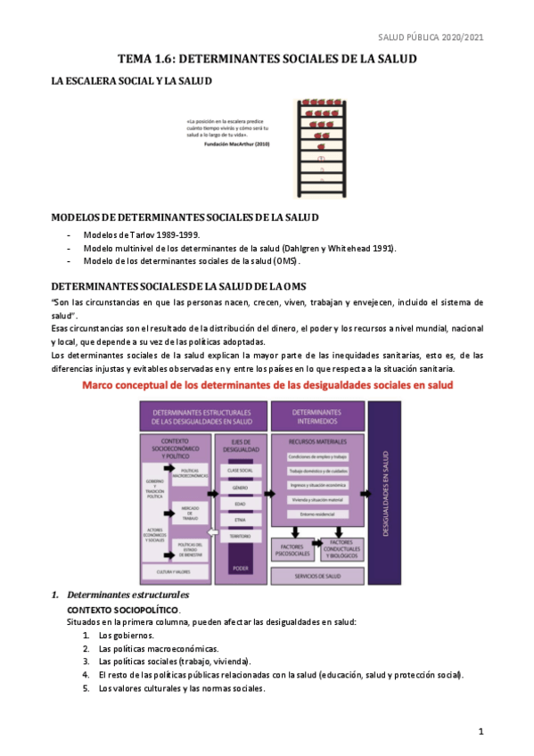 Miniatura del documento TEMA-1.pdf