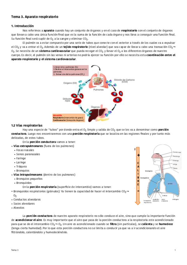 Miniatura del documento Tema-3-Aparato-respiratorio.pdf