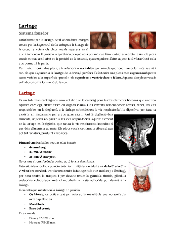 Miniatura del documento C.pdf