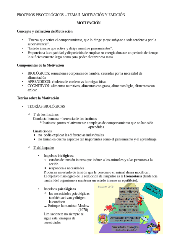 Miniatura del documento resum t5.pdf