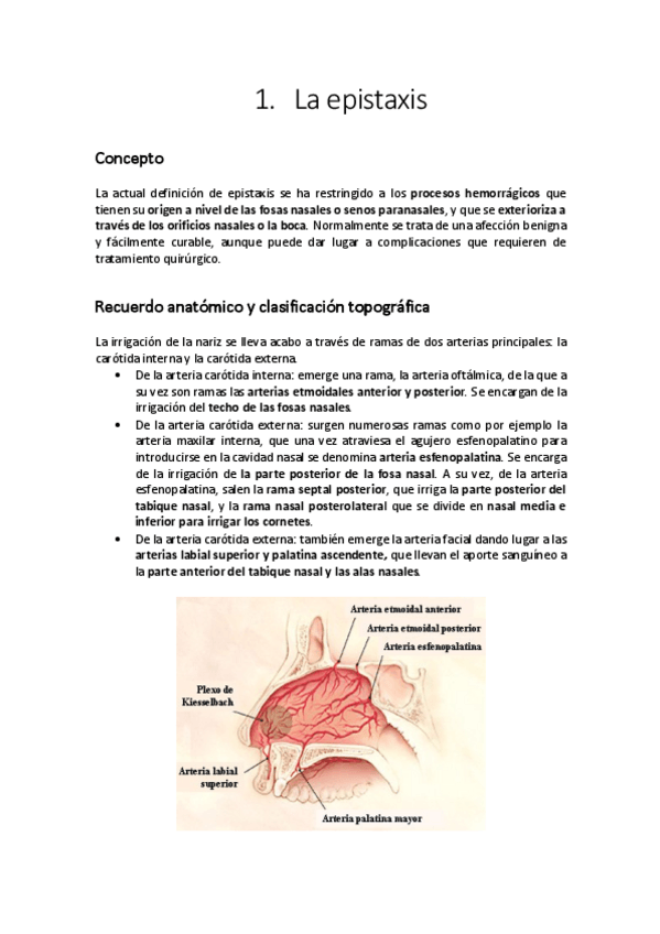 Miniatura del documento 1.pdf