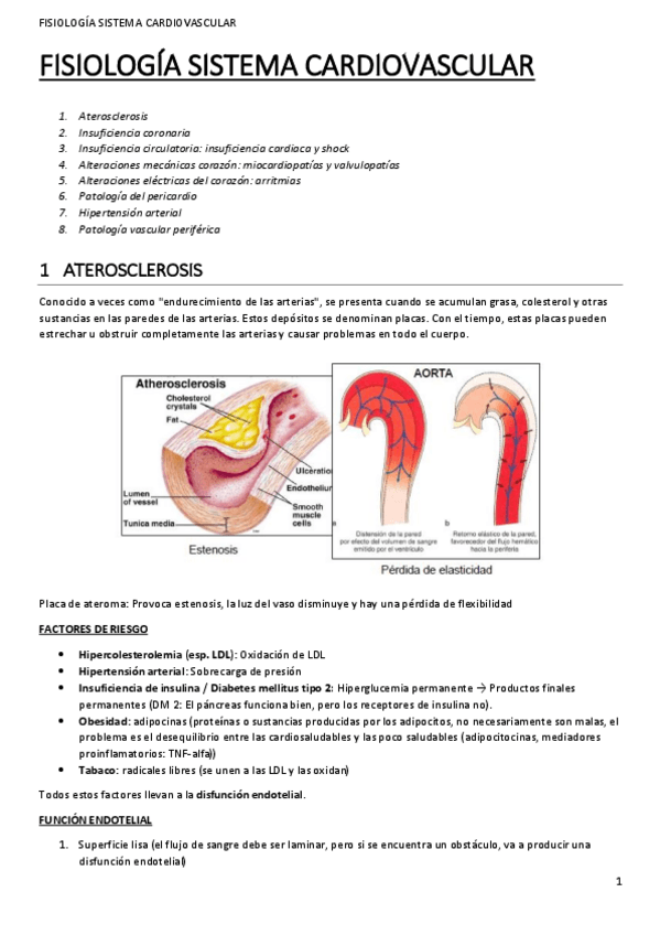 Miniatura del documento cardiovascular.pdf