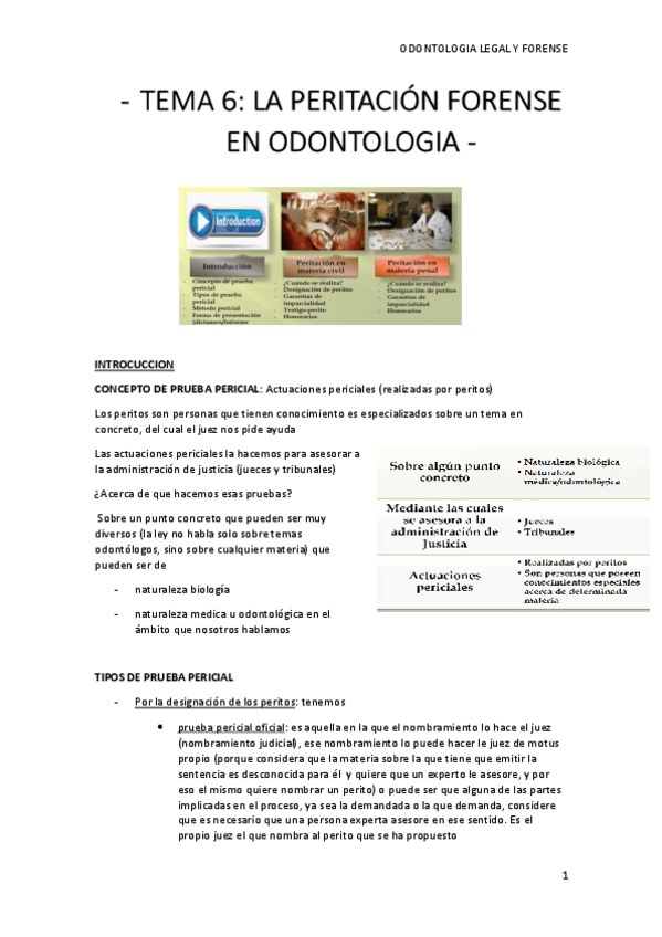 Miniatura del documento TEMA-6-peritacion-forense-en-odont.pdf