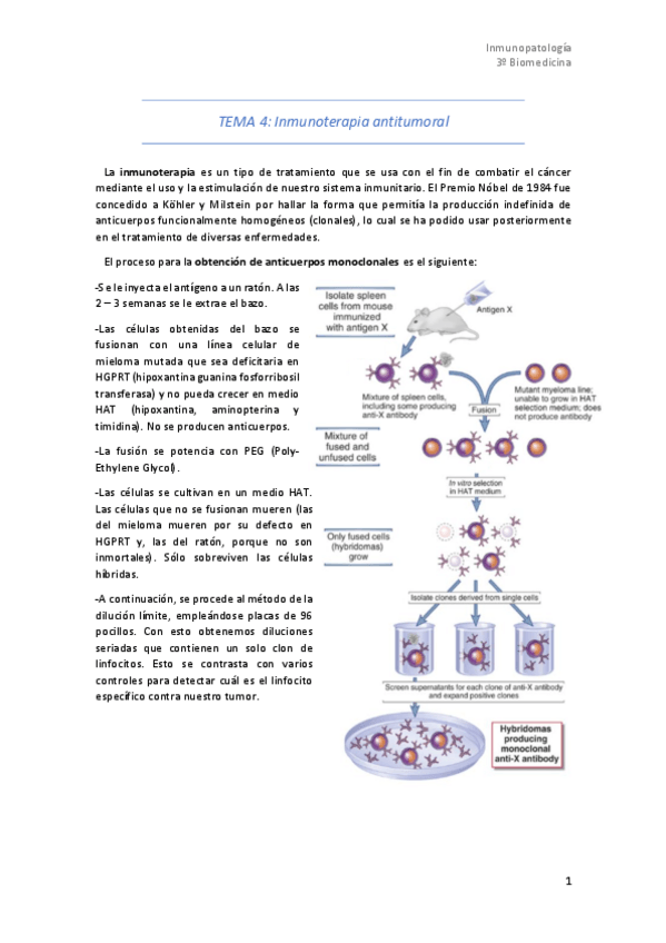 Miniatura del documento Tema-4.pdf