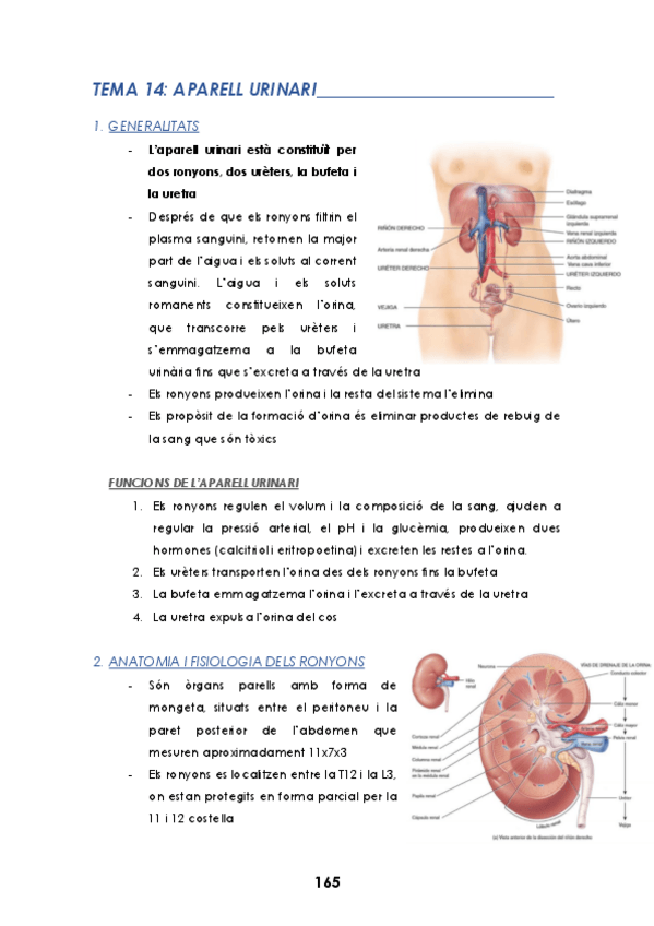 Miniatura del documento TEMA-14.pdf