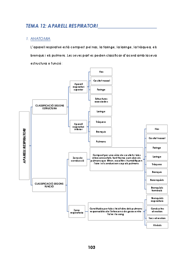 Miniatura del documento TEMA-12.pdf