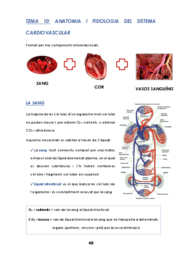 Miniatura del documento TEMA-10-.pdf