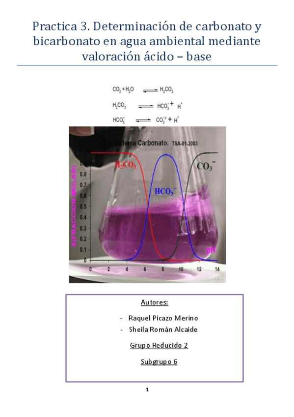 Miniatura del documento Practica-3-si.pdf